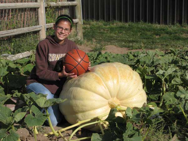 Giant pumpkin that Alisha Grew