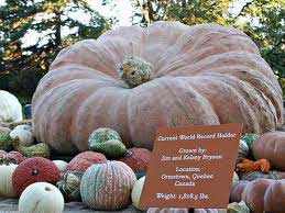 2011 World Pumpkin Record at New York City