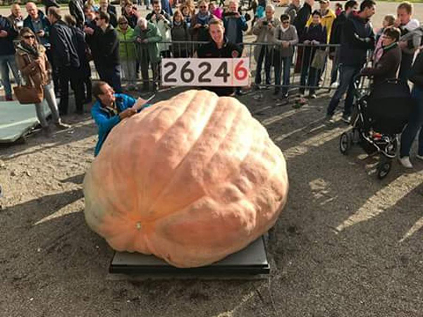 2016 World Pumpkin Record