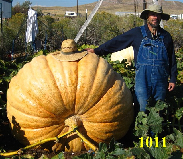 2010 Wyoming Record