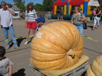 2010-1000 Pound Pumpkin Grown in Wyoming