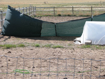 Damaged Wind Fence Used To Protect My Hoop Houses