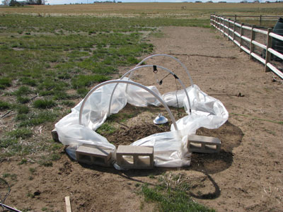 Destroyed Hoops House By the Wind