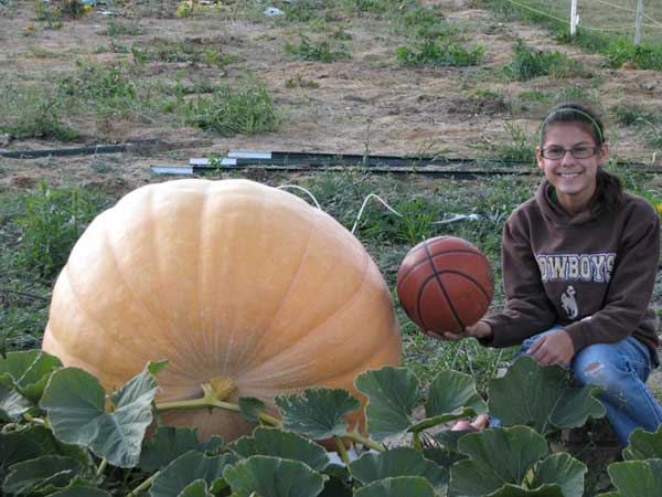 Charlie Brown's Great Pumpkin