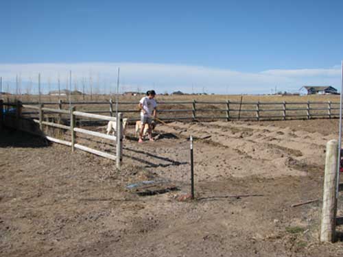 Adding Sand to the Garden