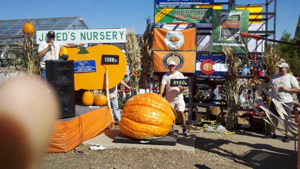 Jared's Nursery Giant Pumpkin Weigh Off