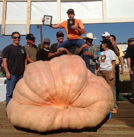 2013 GPC World Pumpkin Record
