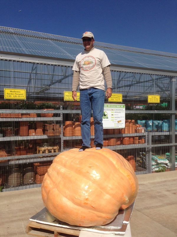 Standing on Giant Pumpkin